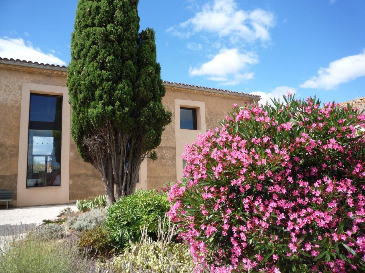 Chambre D'Hotes Nature Et Saveurs Boutenac ภายนอก รูปภาพ